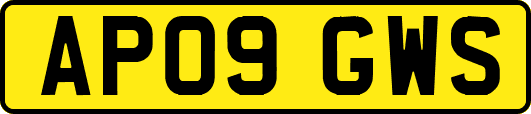 AP09GWS