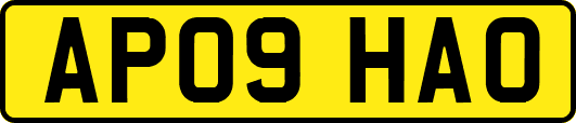 AP09HAO