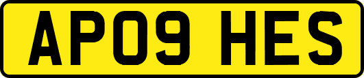 AP09HES