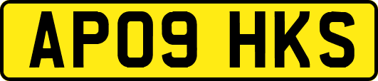 AP09HKS