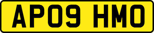 AP09HMO