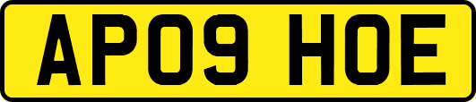 AP09HOE