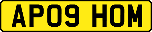 AP09HOM