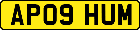 AP09HUM