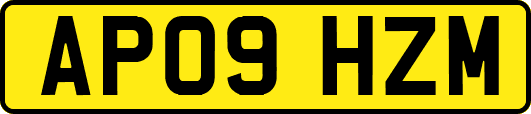 AP09HZM