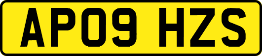 AP09HZS
