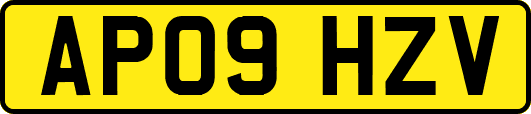AP09HZV