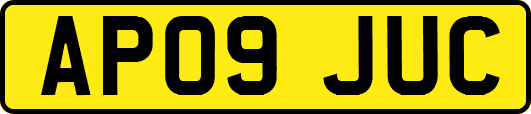 AP09JUC