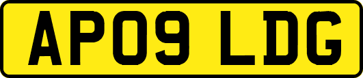AP09LDG