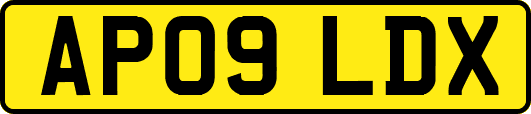 AP09LDX