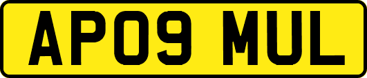 AP09MUL