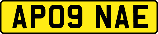 AP09NAE