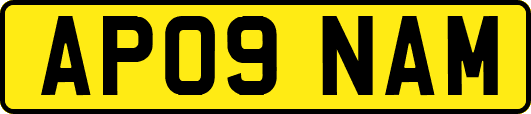 AP09NAM