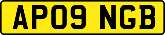 AP09NGB