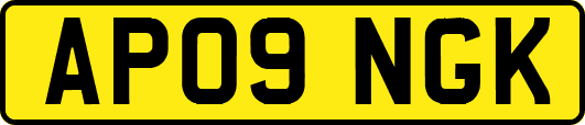 AP09NGK