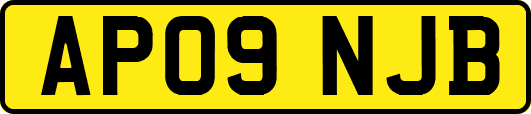 AP09NJB