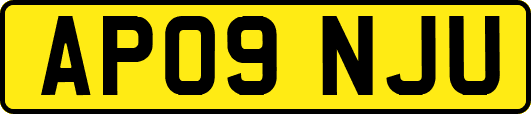 AP09NJU