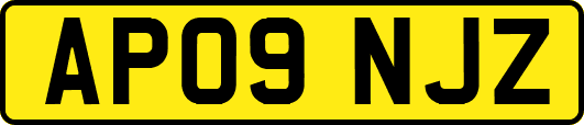 AP09NJZ