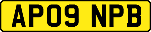 AP09NPB