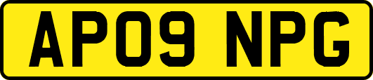 AP09NPG