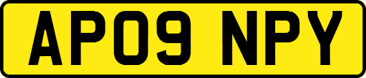 AP09NPY