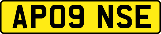 AP09NSE