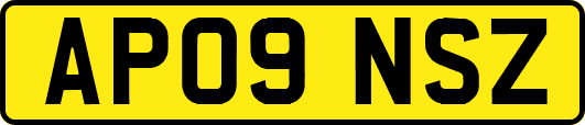 AP09NSZ