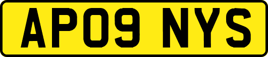 AP09NYS