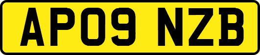 AP09NZB