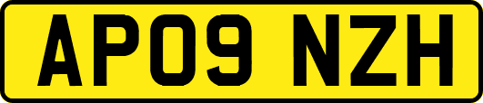 AP09NZH
