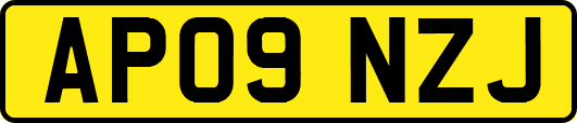 AP09NZJ