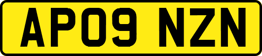 AP09NZN