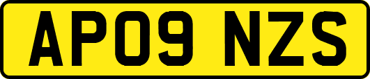 AP09NZS