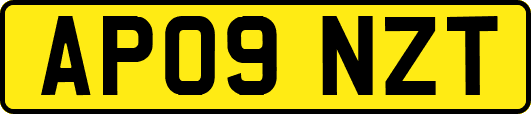 AP09NZT