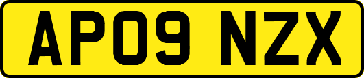 AP09NZX