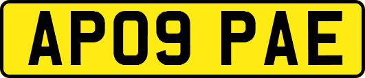 AP09PAE