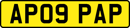 AP09PAP
