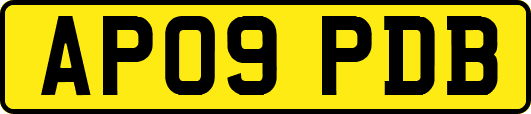 AP09PDB