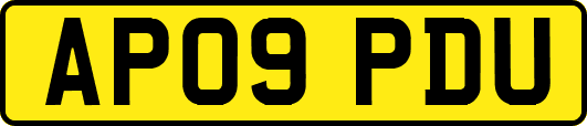 AP09PDU