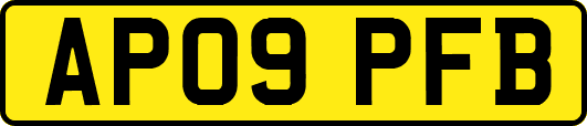 AP09PFB