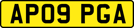 AP09PGA