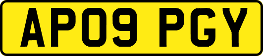 AP09PGY