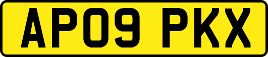 AP09PKX