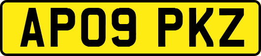 AP09PKZ