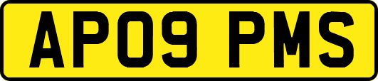 AP09PMS