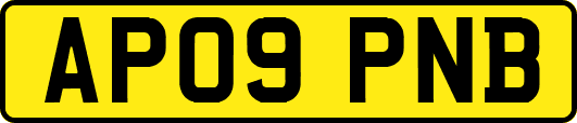 AP09PNB