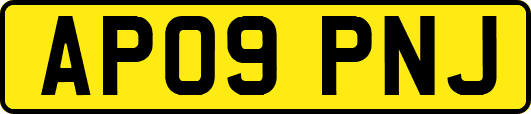AP09PNJ