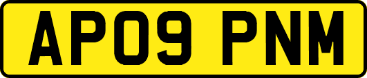 AP09PNM