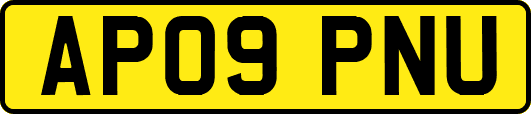 AP09PNU
