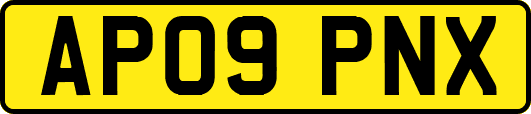 AP09PNX